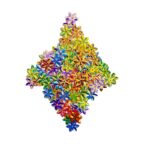 پولک رنگی مدل گل بسته 25 گرمی 3 پولک مدل گل